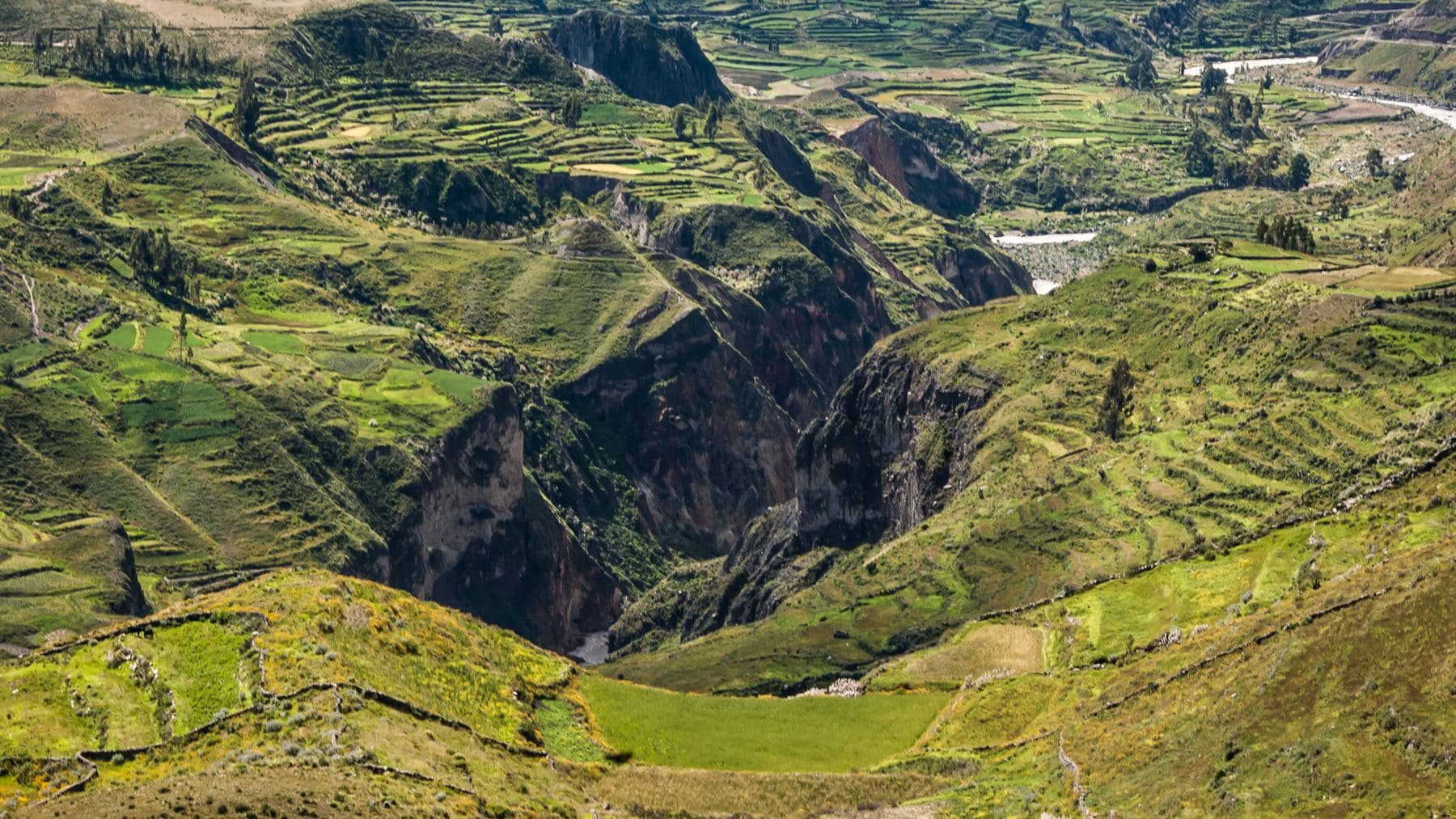Arequipa y el Cañón del Colca: guía completa 2026 — arequipa