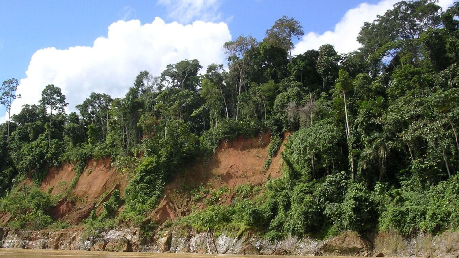 Imagen ilustrativa de un hotel en Reserva Nacional Tambopata, Madre de Dios