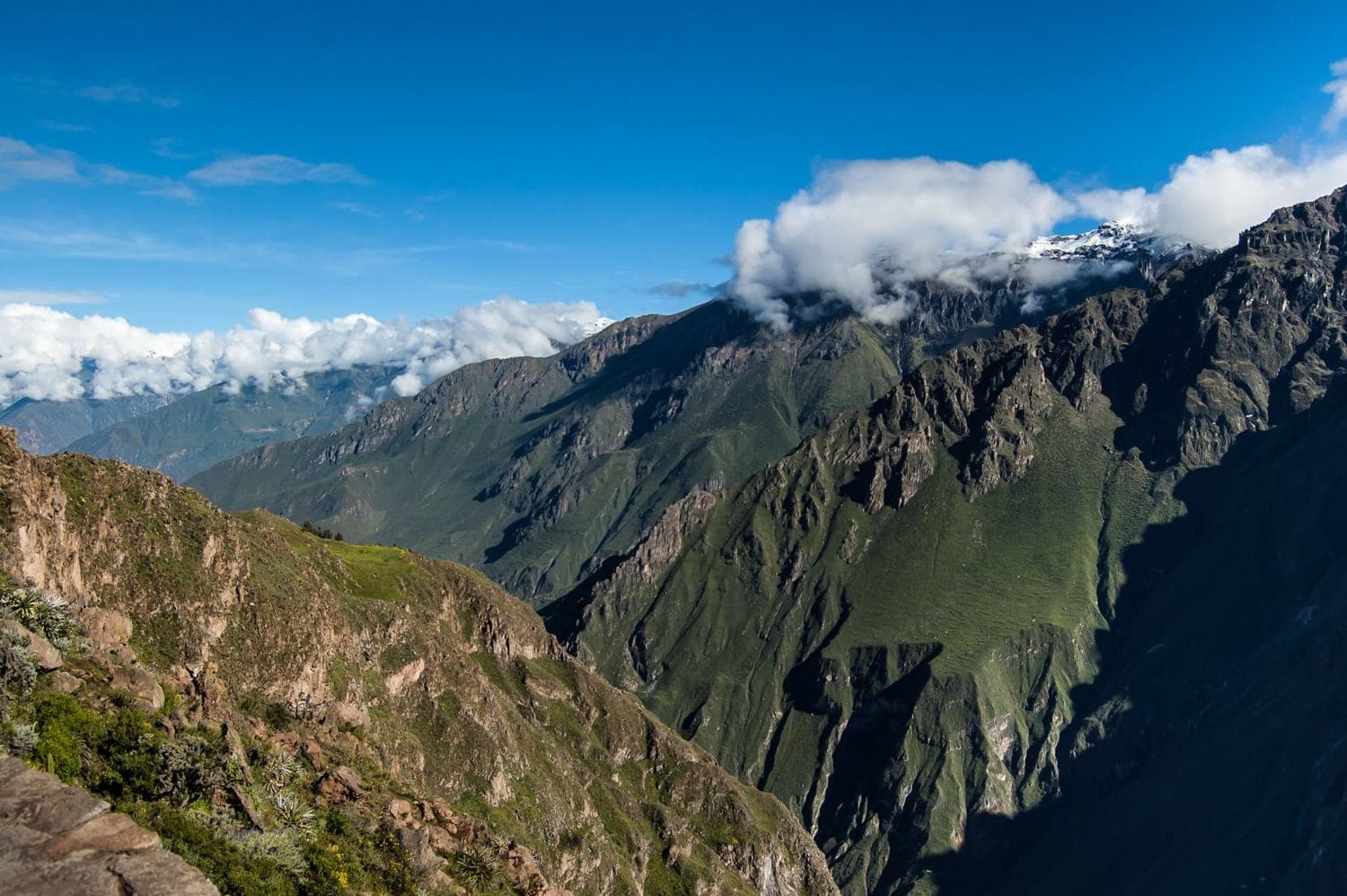 Imagen ilustrativa de un tour en Arequipa — Cañón del Colca